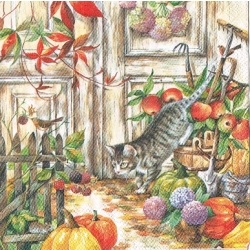 Serwetka do decoupage -1806- jesień , kotek, dynie,ogród